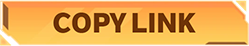 Button Copy Link Share
